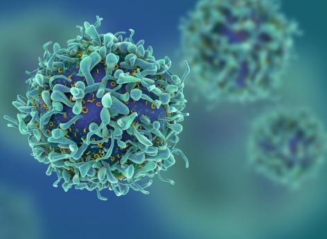 Lymphome : les effets neurologiques des CAR-T cells mieux compris