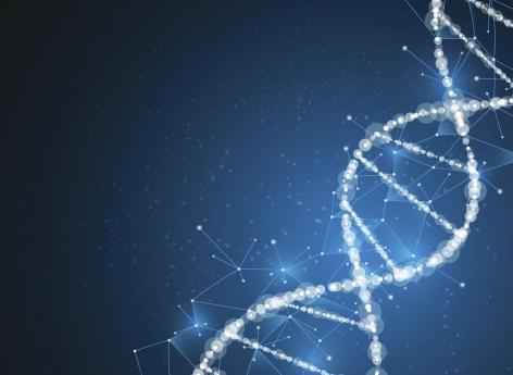 Autisme : des mutations de l'ADN non-codant seraient en cause