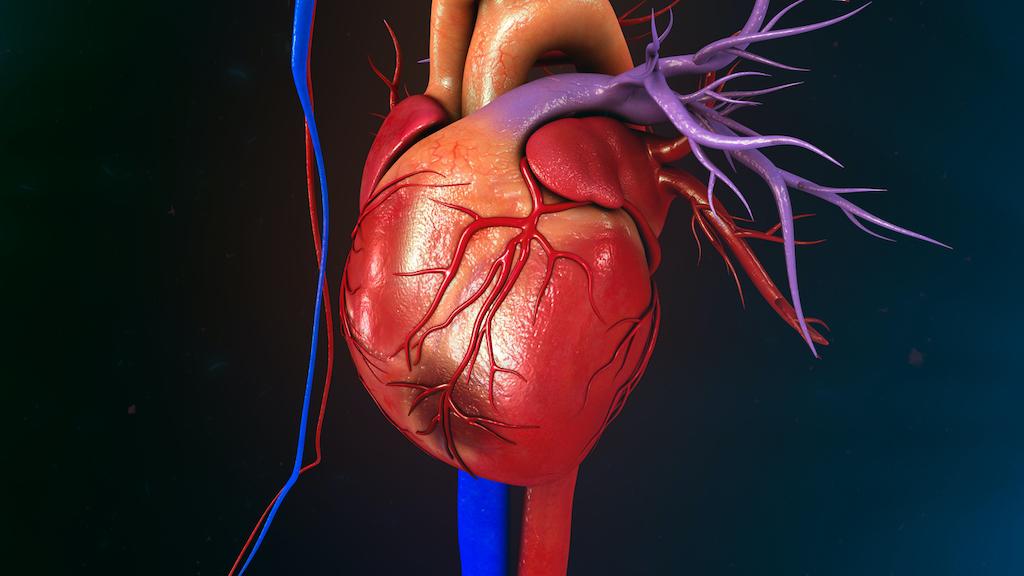 Diabète et ischémie myocardique silencieuse : faut-il encore la dépister ?