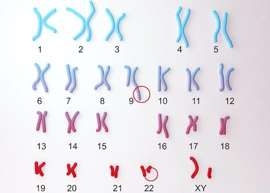 Leucémie myéloïde chronique en phase chronique : quel inhibiteur de tyrosine kinase en première ligne ?