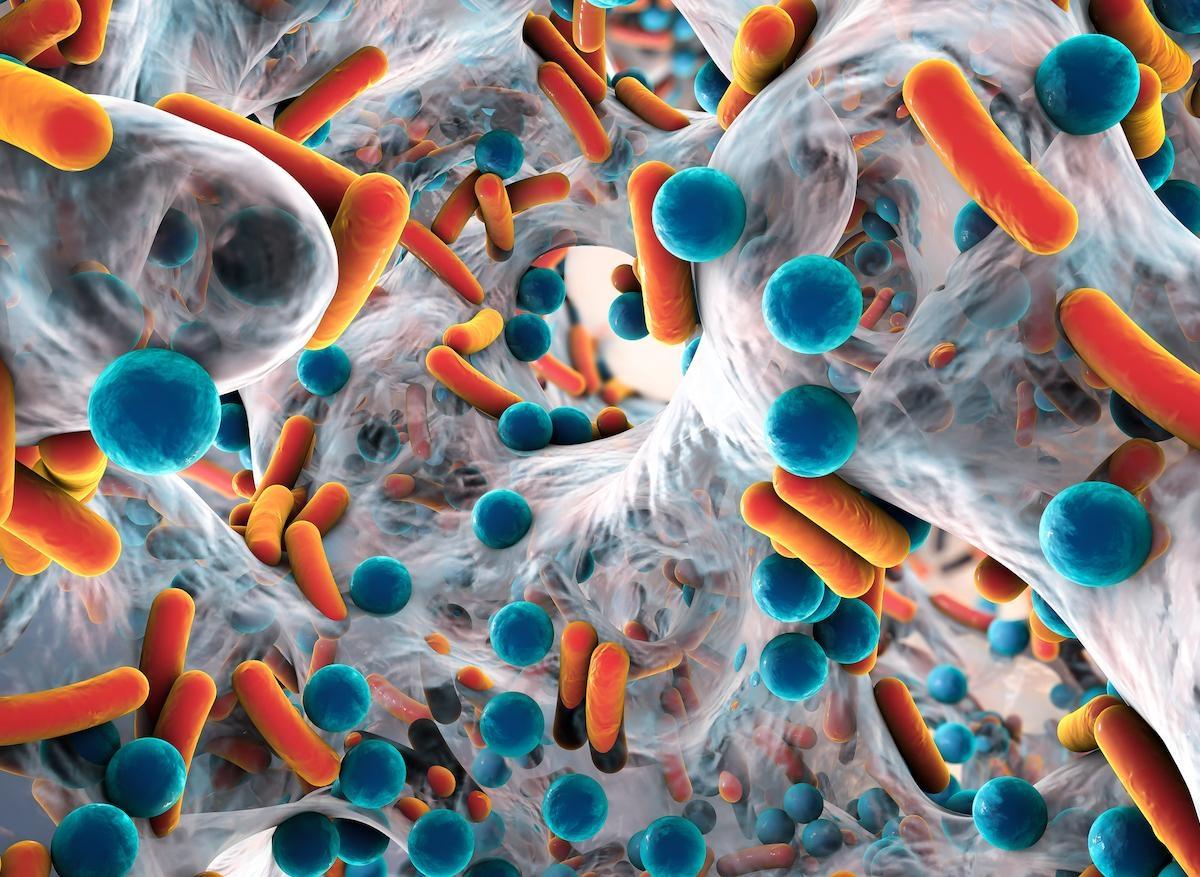 Antibiorésistance : 10 millions de morts par an en 2050 ?