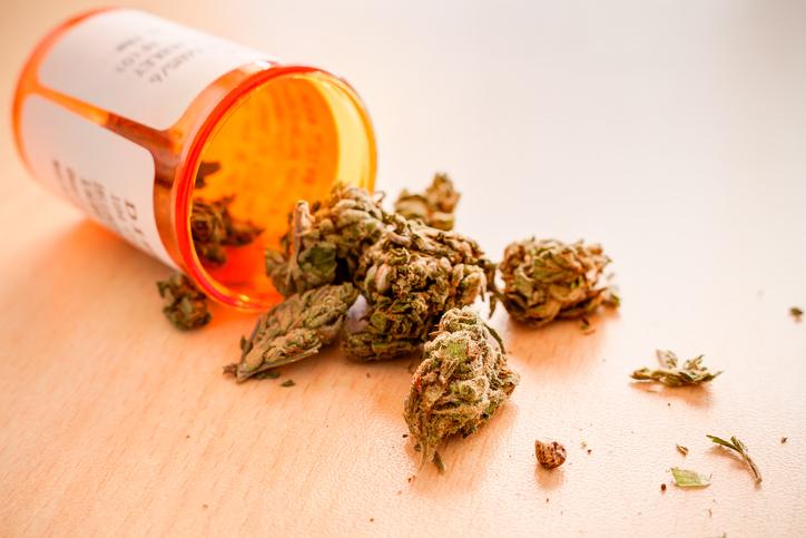 Cannabis thérapeutique : le comité d’experts de l'ANSM favorable à sa légalisation 