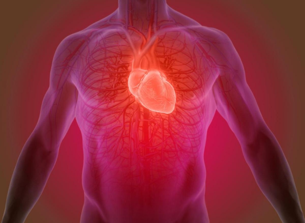Risque cardiovasculaire : un nouvel antithrombique sans risque hémorragique
