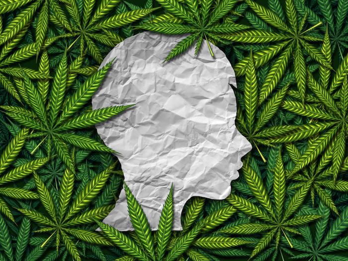 Nouvelle étude prospective : non, le cannabis ne soulage pas la douleur chronique