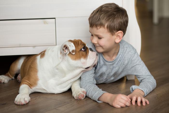 Asthme : un bon traitement permet le retour des animaux domestiques à la maison