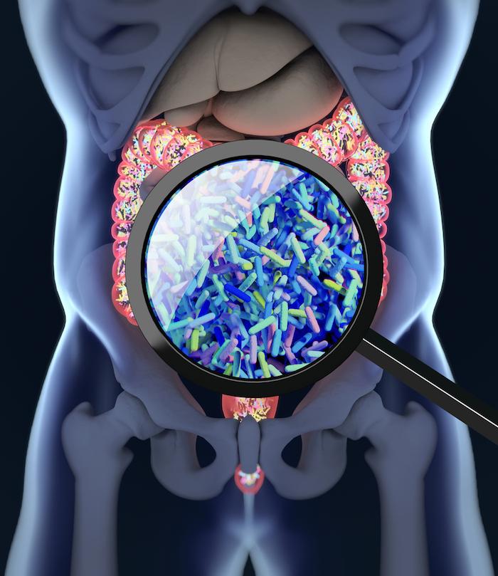 Diabète de type 2 : consommer des fibres favorise un microbiote intestinal améliorant le diabète