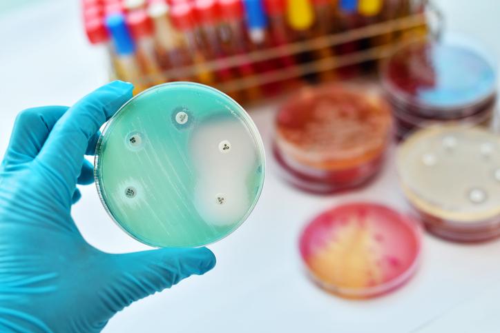 Antibiorésistance : les bactéries multi-résistantes responsables de 33 000 morts en Europe 