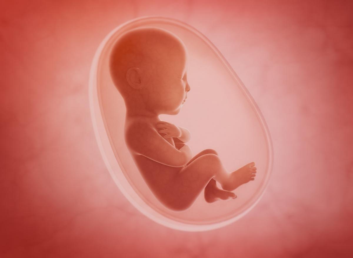 Coronavirus et grossesse : y a-t-il une transmission in utero ?