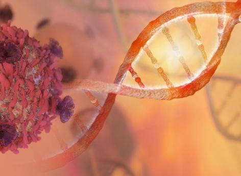 Cancer : le profilage ADN et ARN augmente le nombre de thérapies ciblées