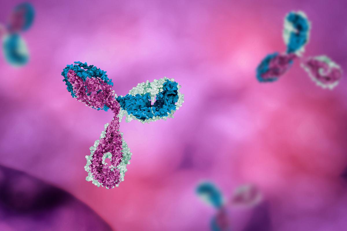 Cancers du sein HER2+ : encore un bon point pour le Trastuzumab Deruxtecan