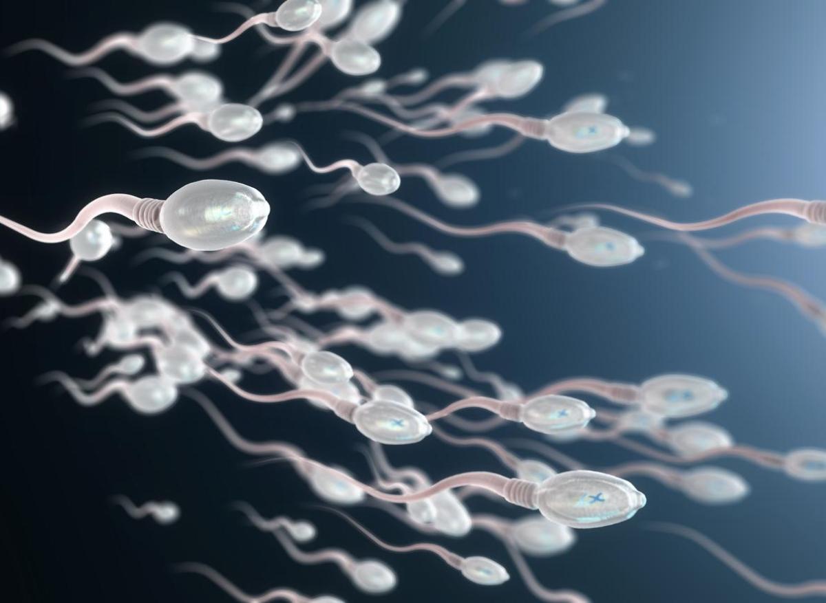 Infertilité masculine : rôle potentiel du microbiome du sperme 
