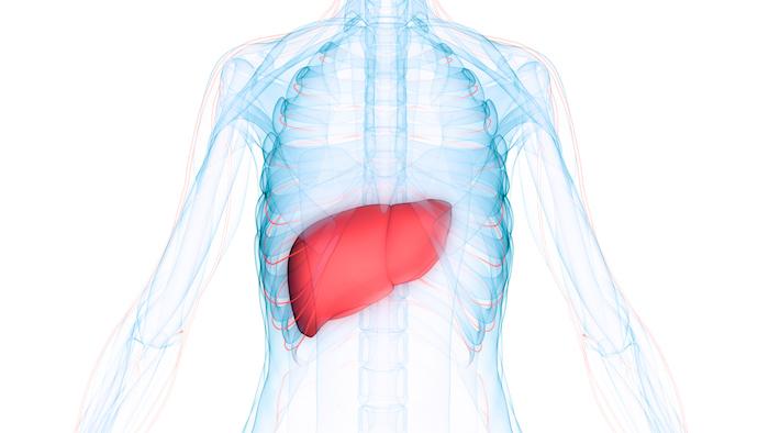 Lutte contre la NASH : le régime alimentaire doit être pauvre en sucre rapide