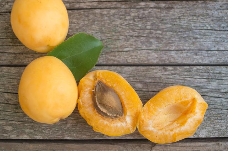 Intoxication au cyanure : l'Anses alerte sur les dangers de manger les amandes d'abricot 