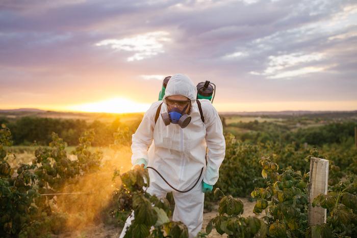 Pesticides : tous les produits à base de métam-sodium interdits