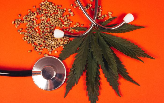 Des élus s'engagent pour le cannabis thérapeutique, mais sur quelles études se basent-ils ?  