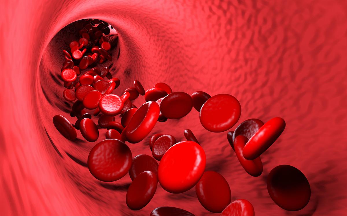 Lupus : le taux d'hydroxychloroquine peut prédire le risque de thrombose