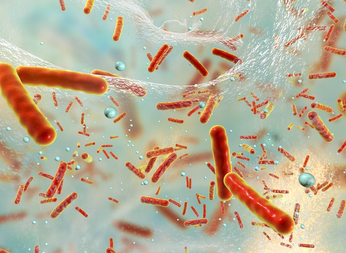 Staphylocoque doré : un nouveau mécanisme d'antibiorésistance de la bactérie découvert