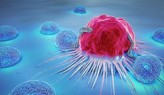 Nobel de médecine : le couronnement de la révolution de l’immunothérapie en cancérologie