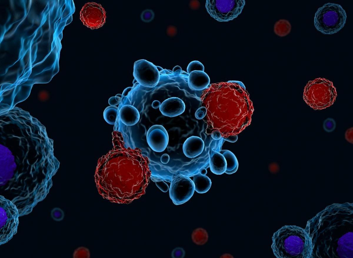 Cancer : l’activité des CAR-T cells suivie grâce à l’imagerie