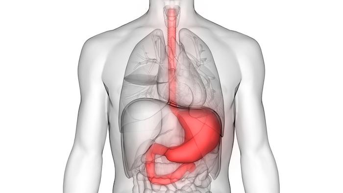 Cancer de l’œsophage : les cas ont explosé en France depuis 1998