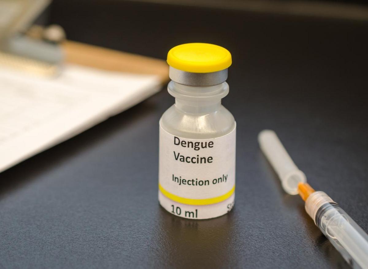 Dengue : mieux comprendre le mode d'action des anticorps pour les vaccins