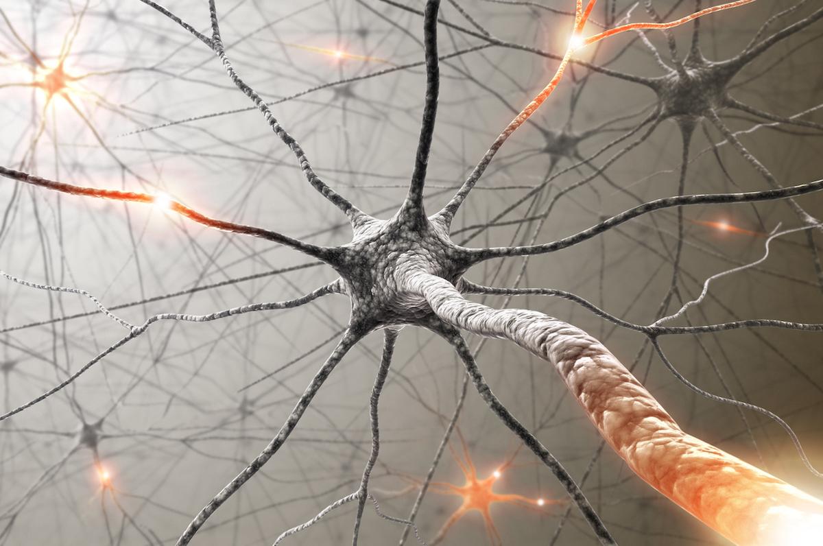 Sclérose en plaques : quelle place pour le dosage des neurofilaments sériques dans le suivi ?