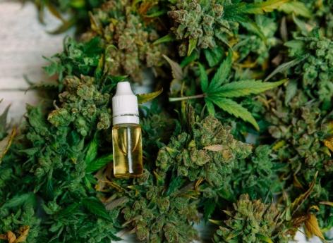 Cannabis thérapeutique : une clarification pour les médecins