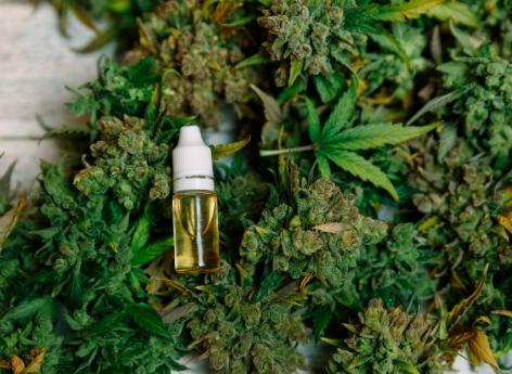 Cannabis : impact mitigé de la légalisation sur la santé