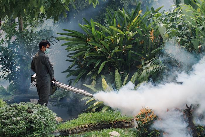 L'épidémie de dengue progresse dangereusement sur l'île de la Réunion 