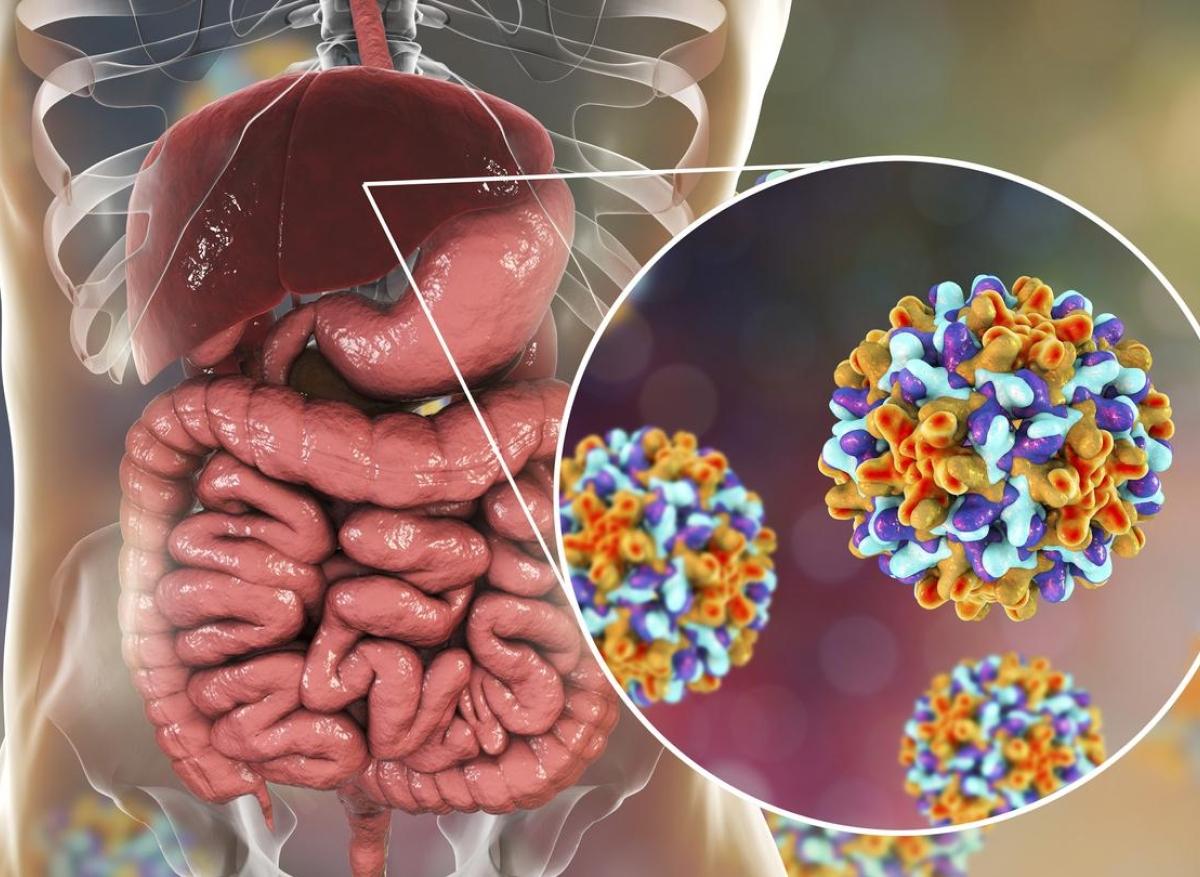 Hépatite B : les Français pas encore assez concernés