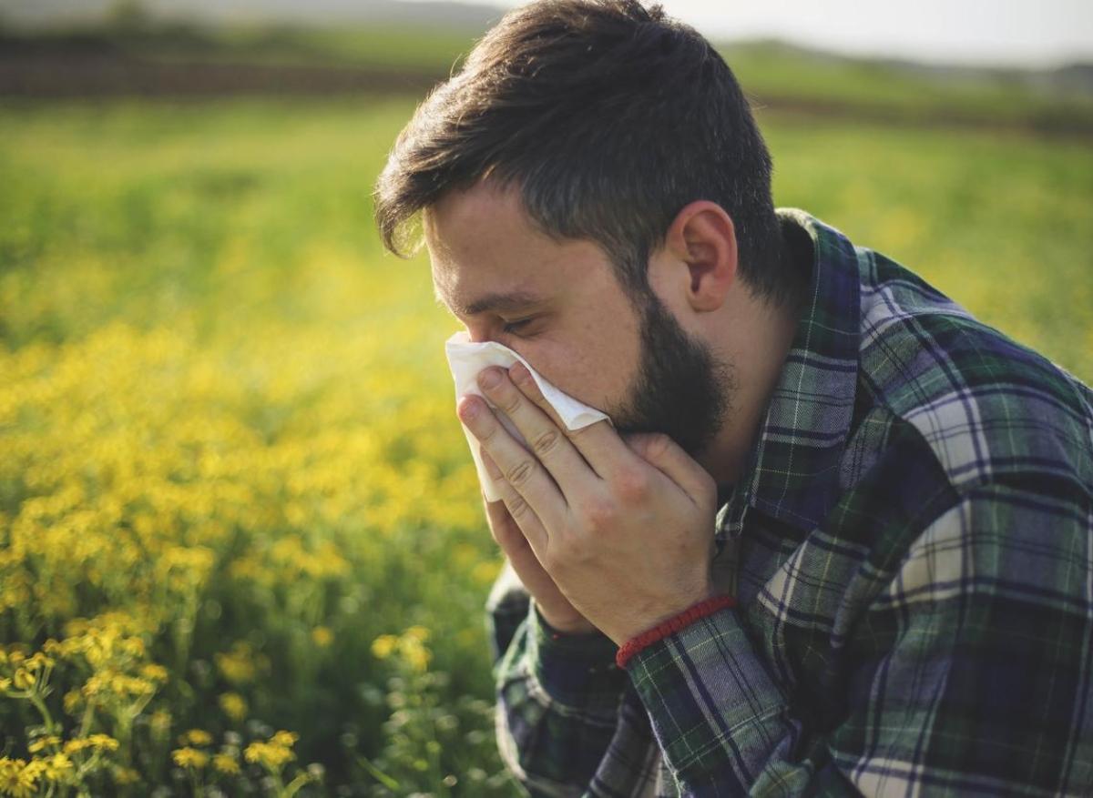 Allergies aux graminées : 81 départements en alerte rouge