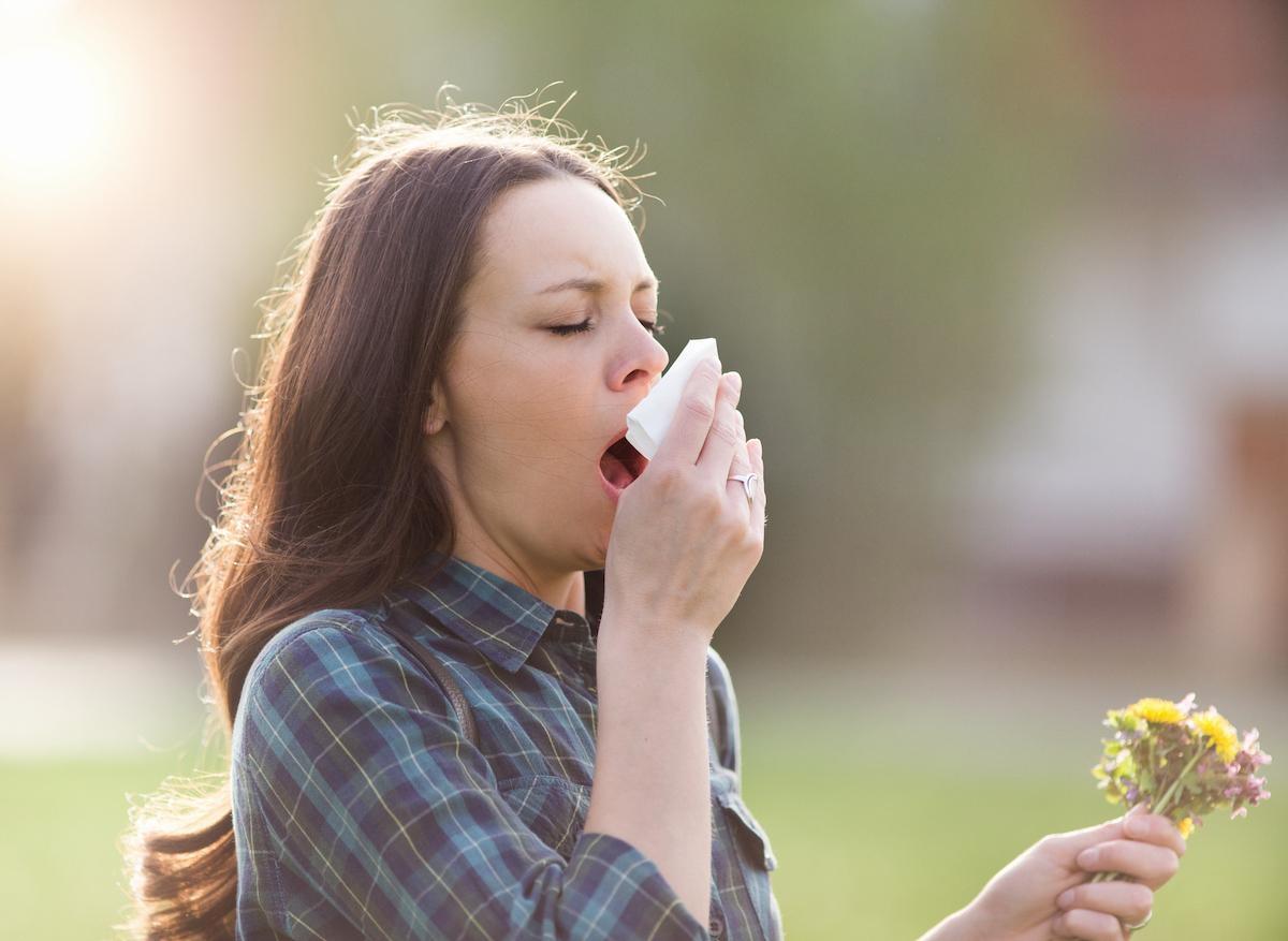 Pollens : le changement climatique aggrave la situation des allergies
