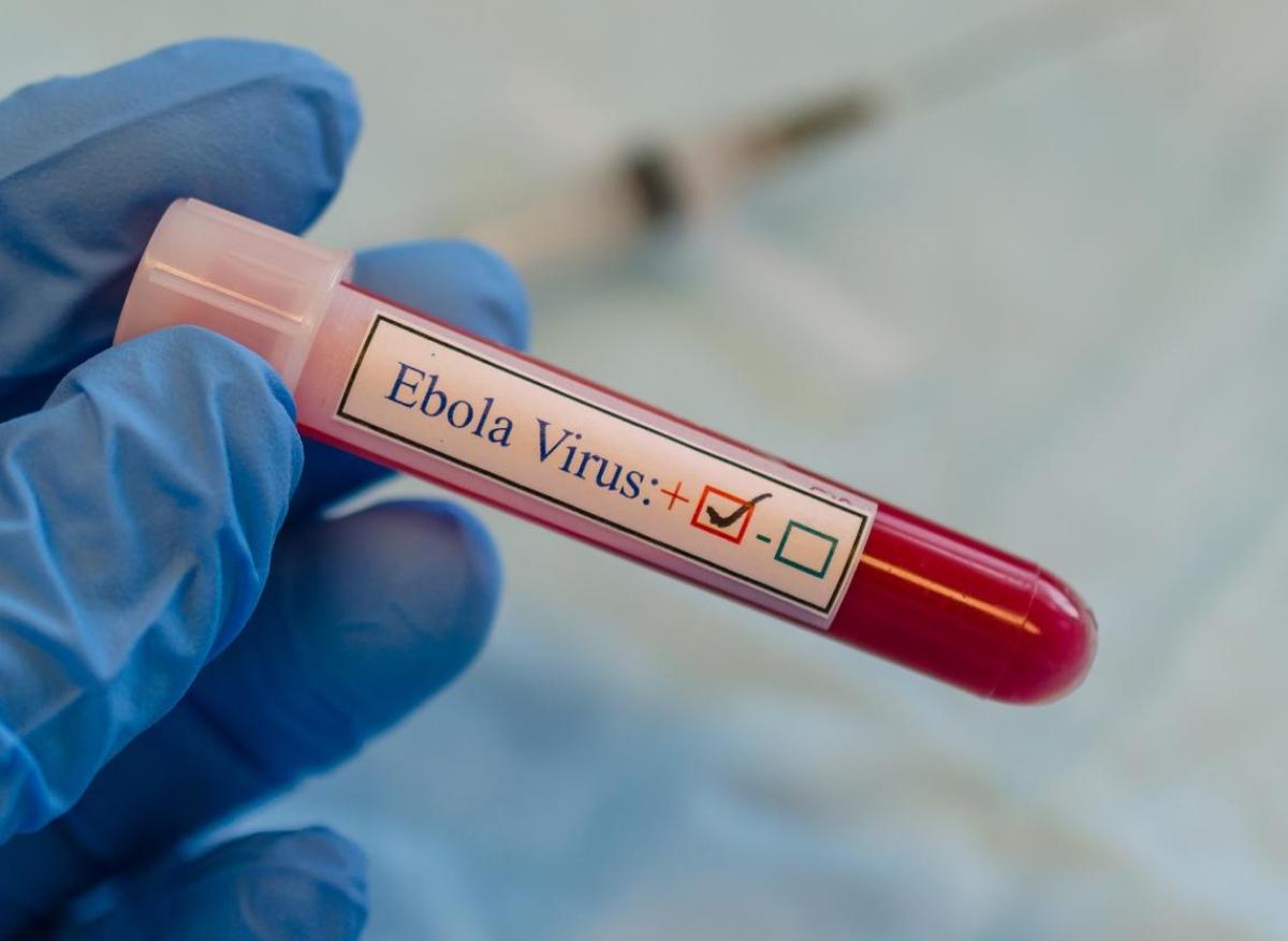 Ebola : portage prolongé possible avec des rechutes tardives