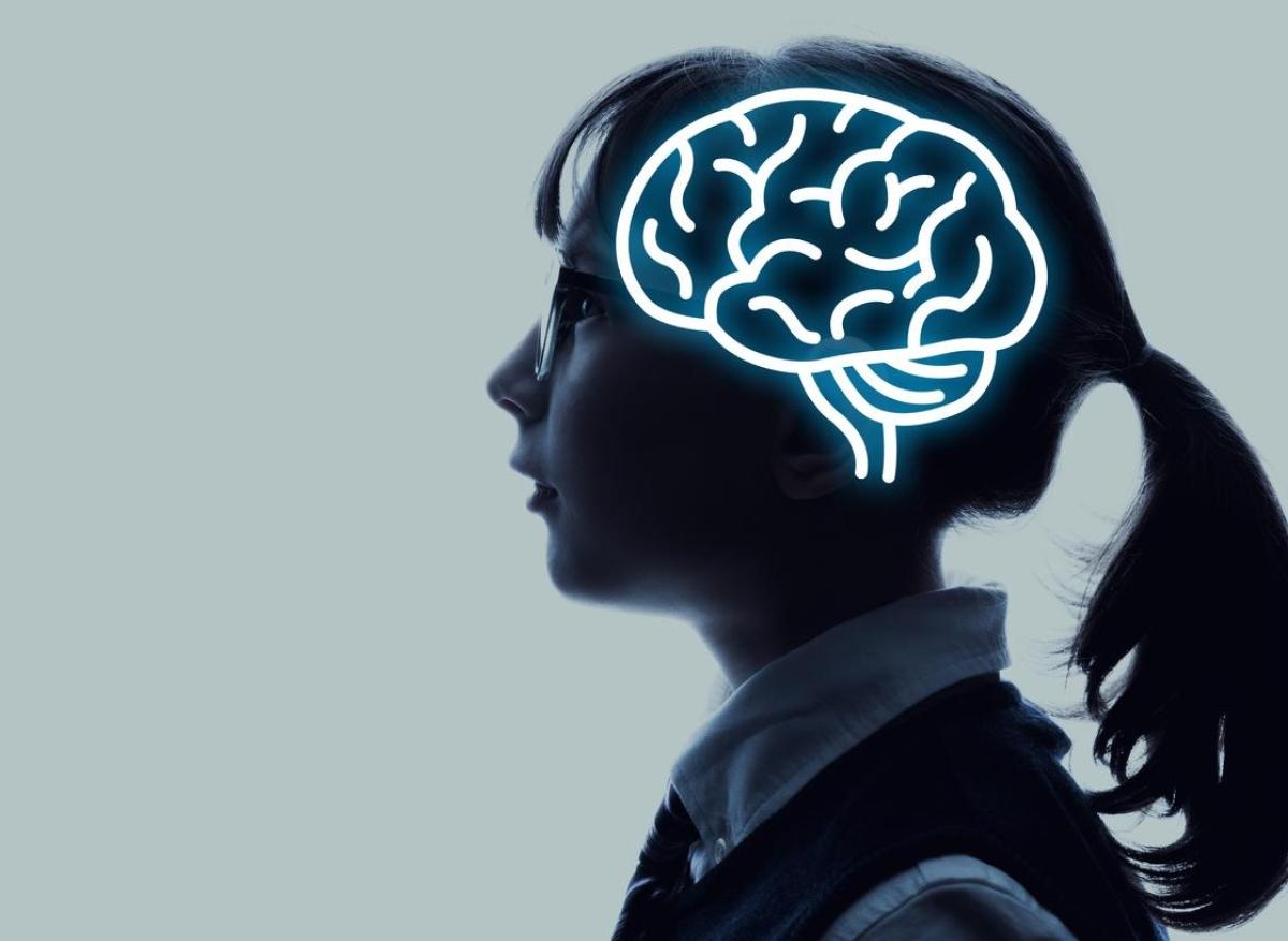 Autisme : lien entre micro-architecture du cerveau et capacités sociales