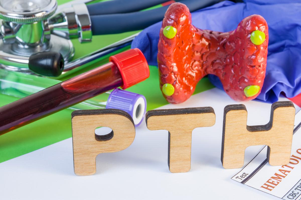 Hyperparathyroïdie primaire : risque osseux, cardiovasculaire et rénal majeur