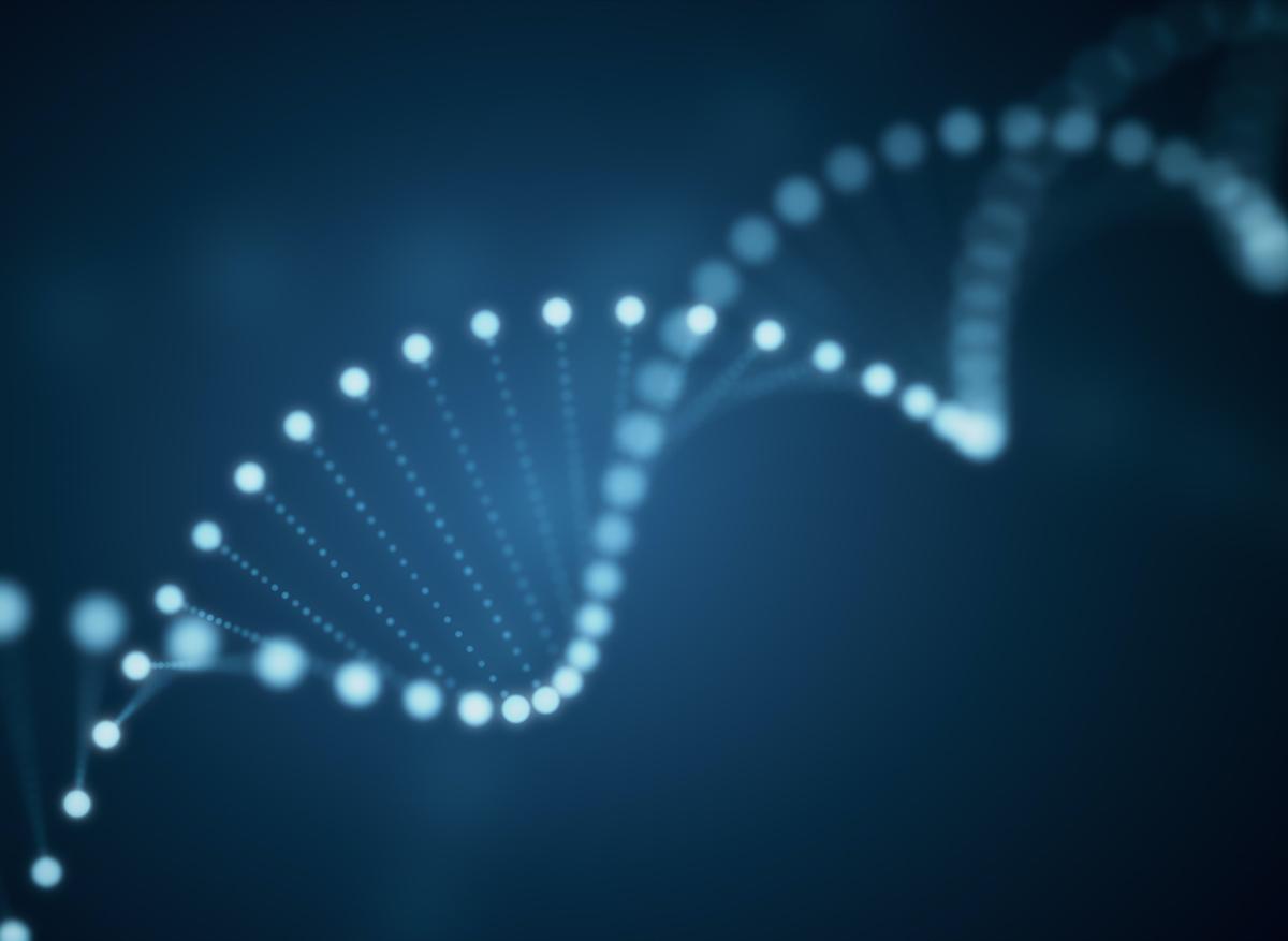 Integrate : de nouveaux ciseaux génétiques ultra-précis