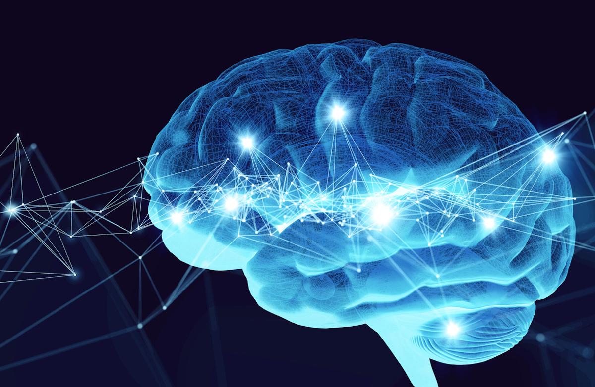 Sclérose en plaques : un cerveau virtuel pour explorer l’atteinte cognitive 