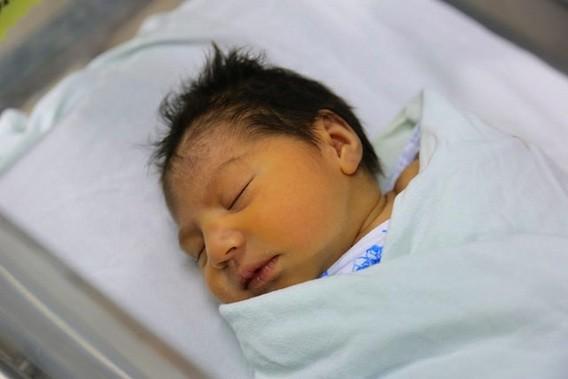 Zika au 1er trimestre : un bébé sur 10 atteint de microcéphalie