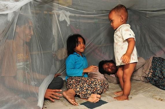 Paludisme : pas de résistance à l'artémisinine en Afrique