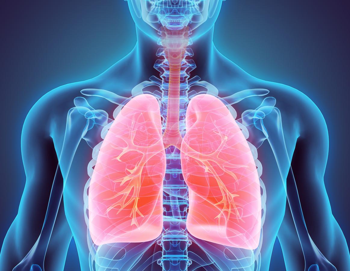 Fibrose pulmonaire idiopathique : une bonne nouvelle mais des points d’attention
