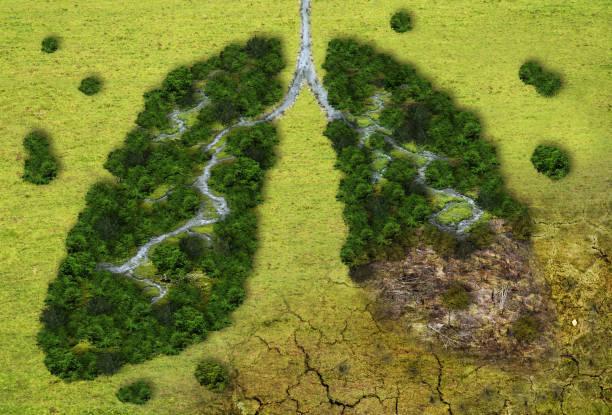 Pneumopathies interstitielles fibrosantes : un rôle de la pollution sur la progression