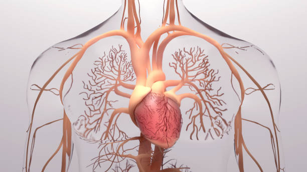 Hypertension pulmonaire : nouvelles tendances et perspectives