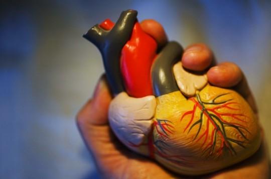 Risque cardiovasculaire : vers une évolution des schémas de prévention