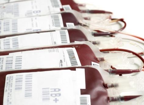 Sang artificiel : un sang universel serait en cours de développement