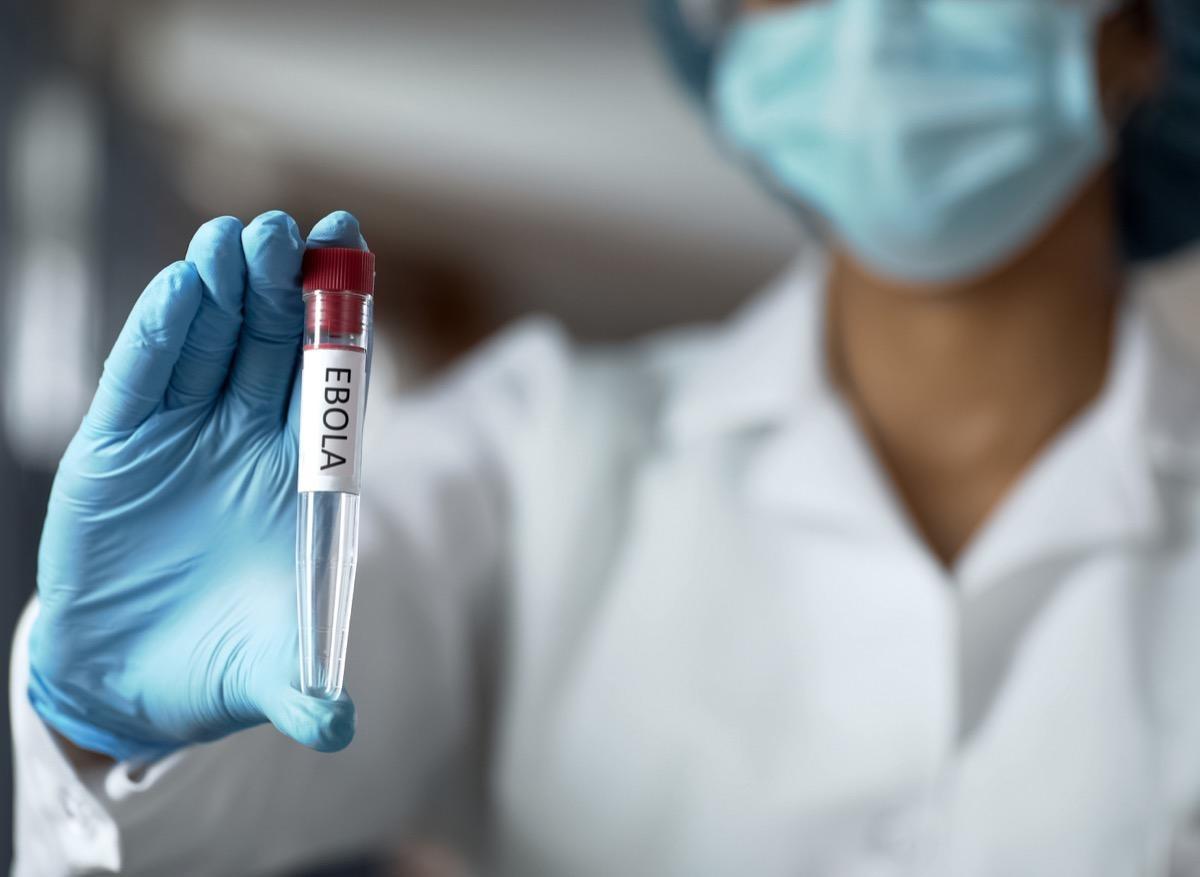 Ebola : 2 anticorps monoclonaux désormais recommandés par l’OMS