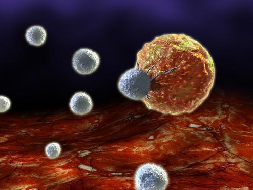 Immunothérapie du cancer : deux nouvelles pistes prometteuses