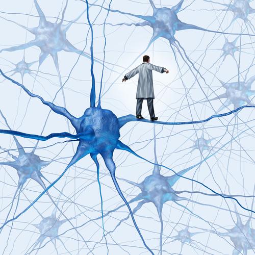 Alzheimer : les 1ères lésions sur les péricytes dans le cerveau dès 40 ans