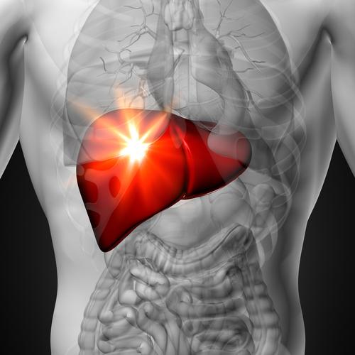 Les transaminases  : à demander en routine 