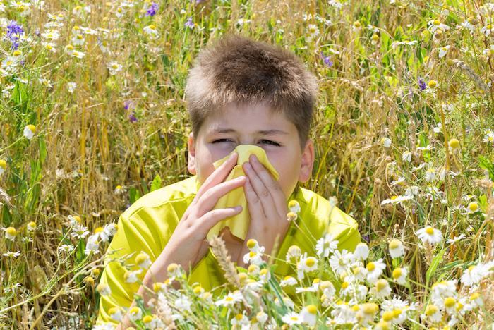 Asthme et allergies alimentaires les prédire dès l'âge de 1 an