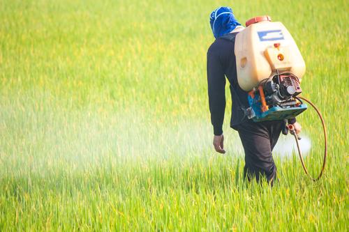 Perturbateurs endocriniens : un rapport accablant liste les dangers pour la santé et l'environnement 